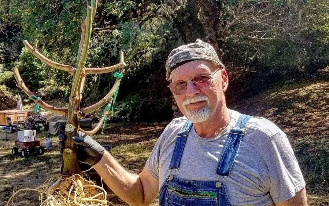 Protected: 2020 Isolation Grow: Clones