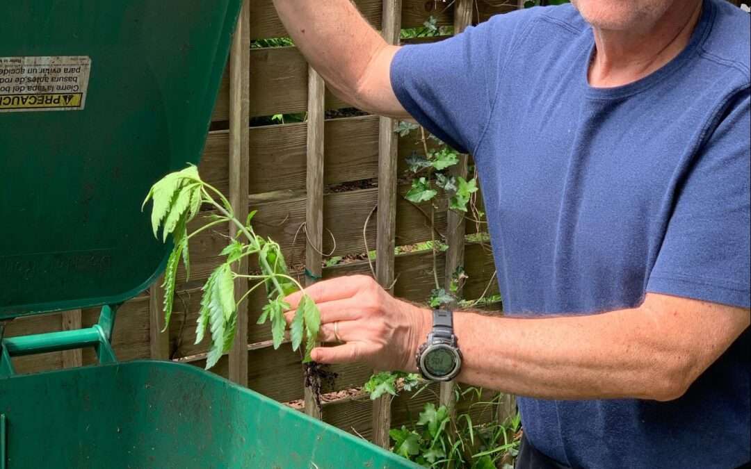 Protected: 2020 Isolation Grow: Turn Your Head & Cough