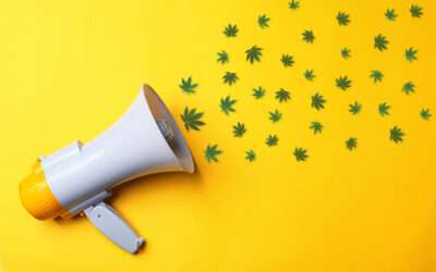 Support Cannabis Farmers Markets