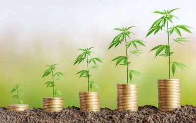 Raising Funds for Cannabis Businesses with Arcview