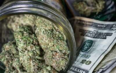 Pot Jobs: 5 Ways to Get Your Foot in the Door of the Weed Industry