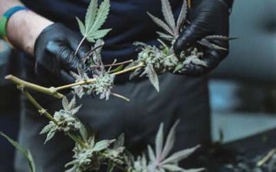 Meet OU’s NEW Horticulture Program