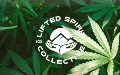 Friday Field Trips: Lifted Spirit