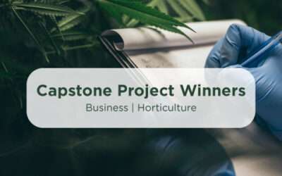 Capstone Winners: Dec. 2021