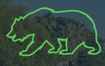 Insights for Regulators from California Cannabis Control