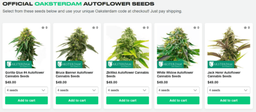 Free cannabis seeds from Oaksterdam and Homegrown Cannabis Co. This image shows the options of autoflowering cultivars available. From left to right: Gorilla Glue #4, Bruce Banner, Zkittlez, White Widow, and Jack Herer