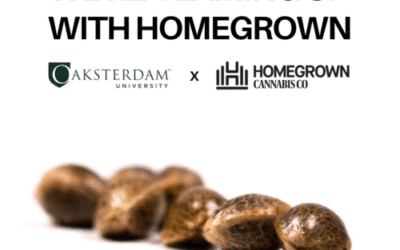 Oaksterdam x Homegrown = Free Cannabis Seeds for Students