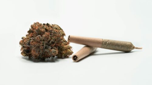 A cannabis flower next to two pre-rolled cannabis joints.