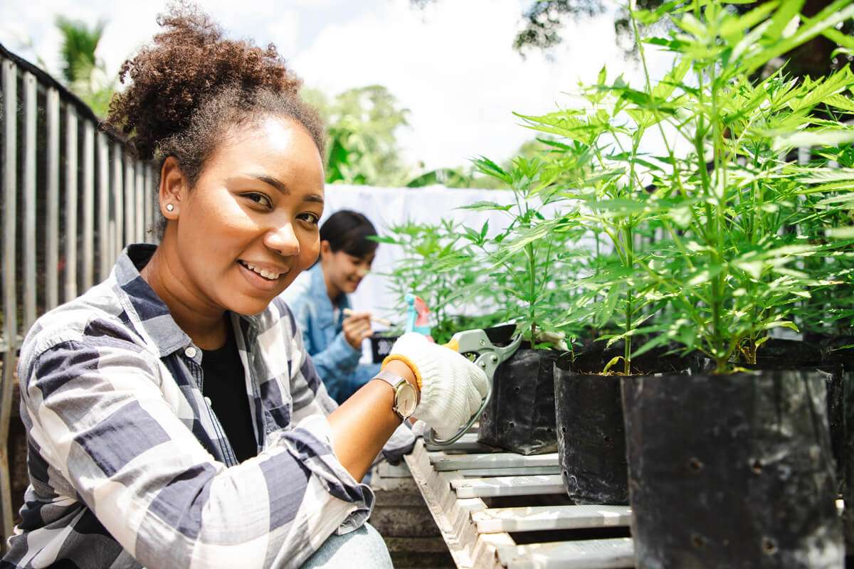 Learn to grow cannabis with Oaksterdam! A young woman is crouching before a tray of plants. She is wearing latex gloves and tending to the plant while smiling at the camera. 