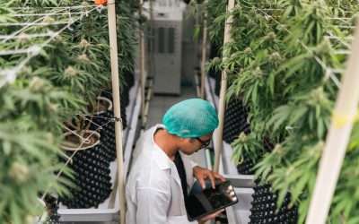 Commercial Horticulture Management