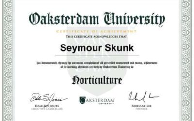 Certification Upgrade