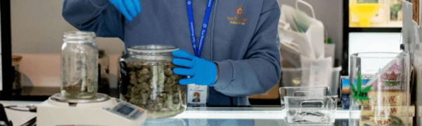 Live Budtending & Retail Certification - Image 3