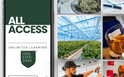 Improve Your Writing with Unlimited Cannabis Education