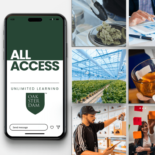 Improve Your Writing with Unlimited Cannabis Education