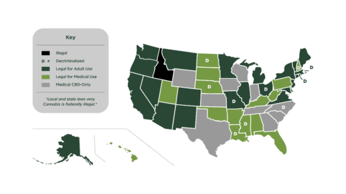 A map of the United States with each state labeled to indicate whether cannabis is fully illegal, decriminalized, legal for medical use, or legal for adult use.