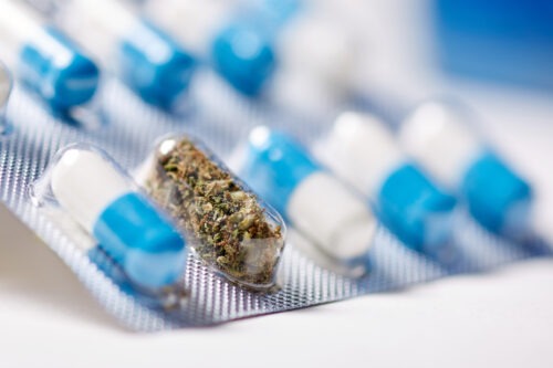 A blister pack with blue and white pills, one pill container is filled with cannabis instead.