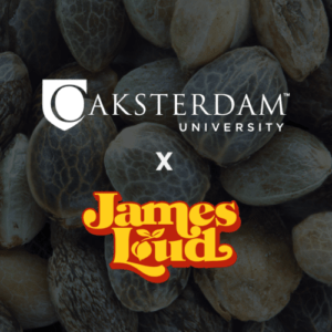 Cannabis Breeding with James Loud