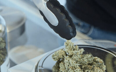 Budtending & Retail Work Certification