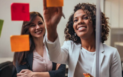 Cannabis Business Management