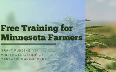 OU Selected to Provide Free Minnesota Cannabis Farmer Training