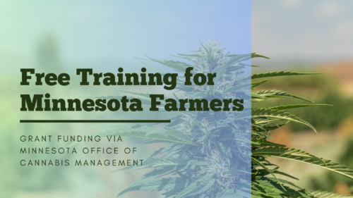 Aunt-Sandy-Moriarty-300x300 A post announcing free cannabis training for minnesota farmers via grant funding from the Minnesota Office of Cannabis Management
