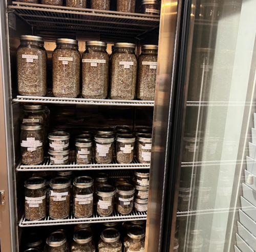 Seeds store in a cannabis genetic library.