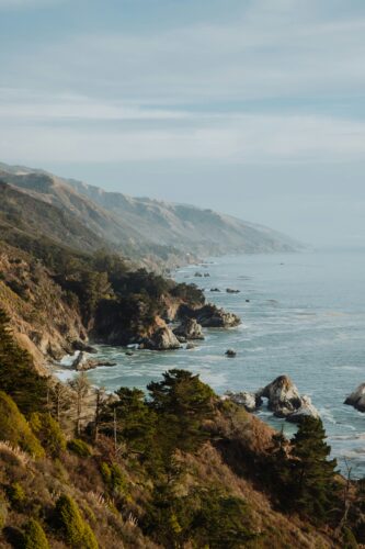 Aunt-Sandy-Moriarty-300x300 An image of the rocky foggy west coast