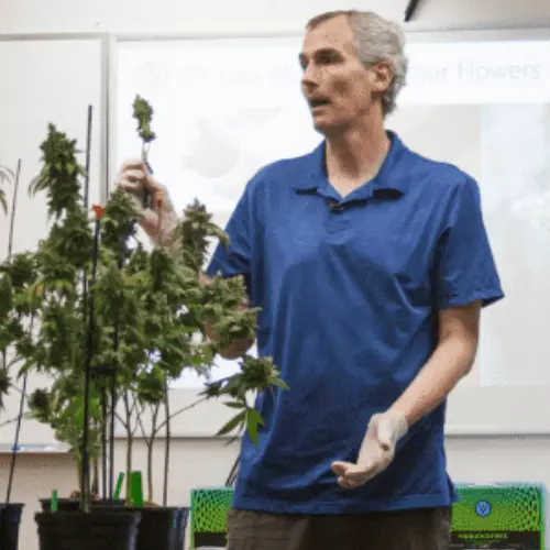 Cannabis Product Intelligence Intensives