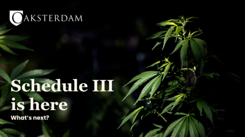 Aunt-Sandy-Moriarty-300x300 How will interstate and international commerce change the cannabis industry after the move to Schedule III?