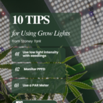 10 tips from stoney tark for using cannabis grow lights